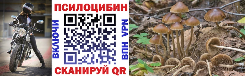 Галлюциногенные грибы прущие грибы Печора